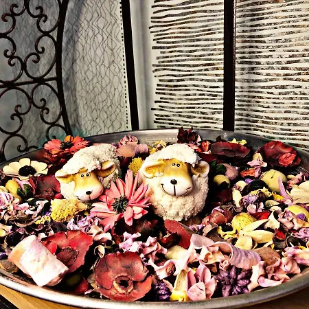 Cozy Loft Apartment *